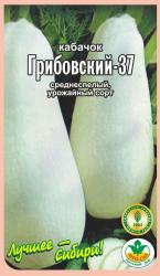 кабачок ГРИБОВСКИЙ - 37 / Агро Сад / НОВИНКА !!!